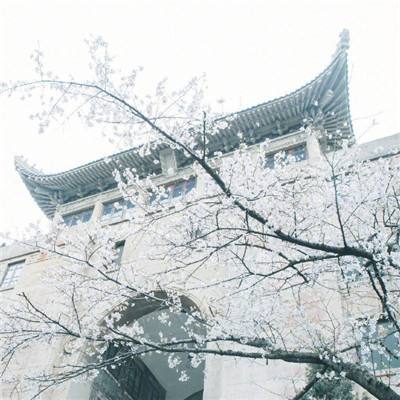 北京中国红杏第一乡平谷北寨村民因大风冰雹遭殃！请您伸援手